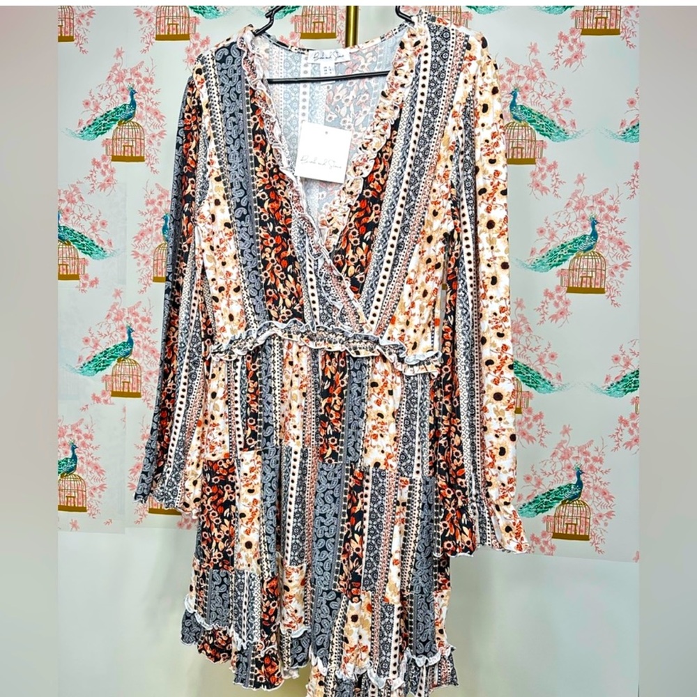 #010 NWT Birch and Stone Long Sleeve Mini Dress